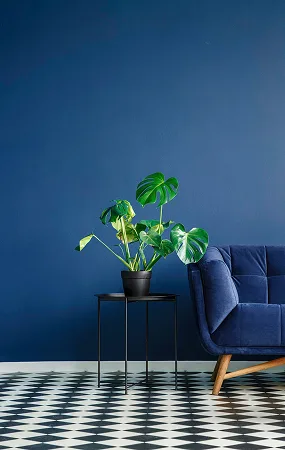 Wall damp and moisture treatment waterproofing work in Ahmedabad home