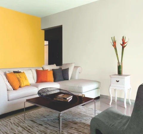 Dampness Free Wall after Damp Treatment